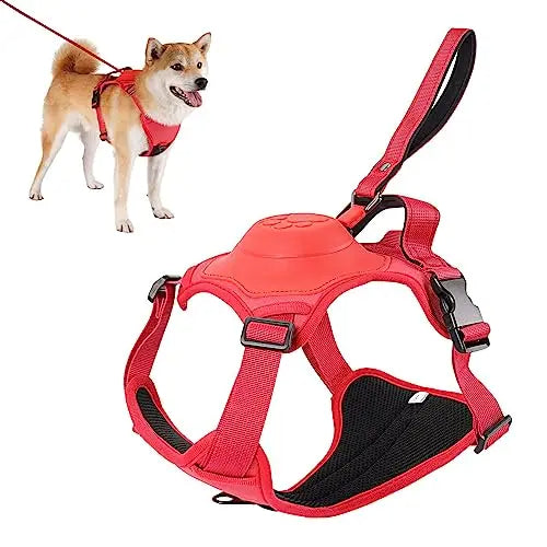 Kit harnais pour chien et laisse rétractable automatique