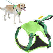 Kit harnais pour chien et laisse rétractable automatique