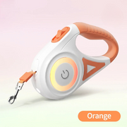 Corde de promenade lumineuse rétractable automatique pour chien