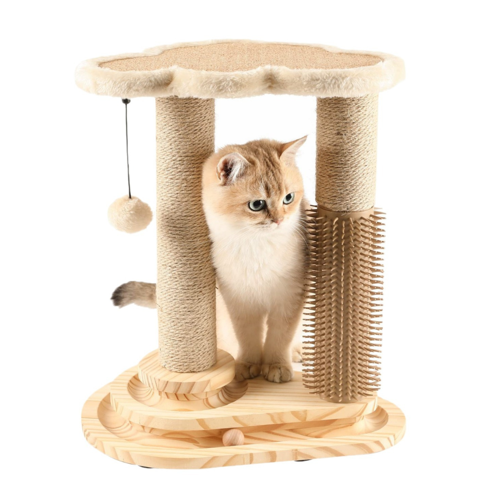 Griffoir pour chat