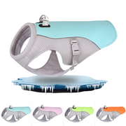 Gilet rafraîchissant d'été pour chien