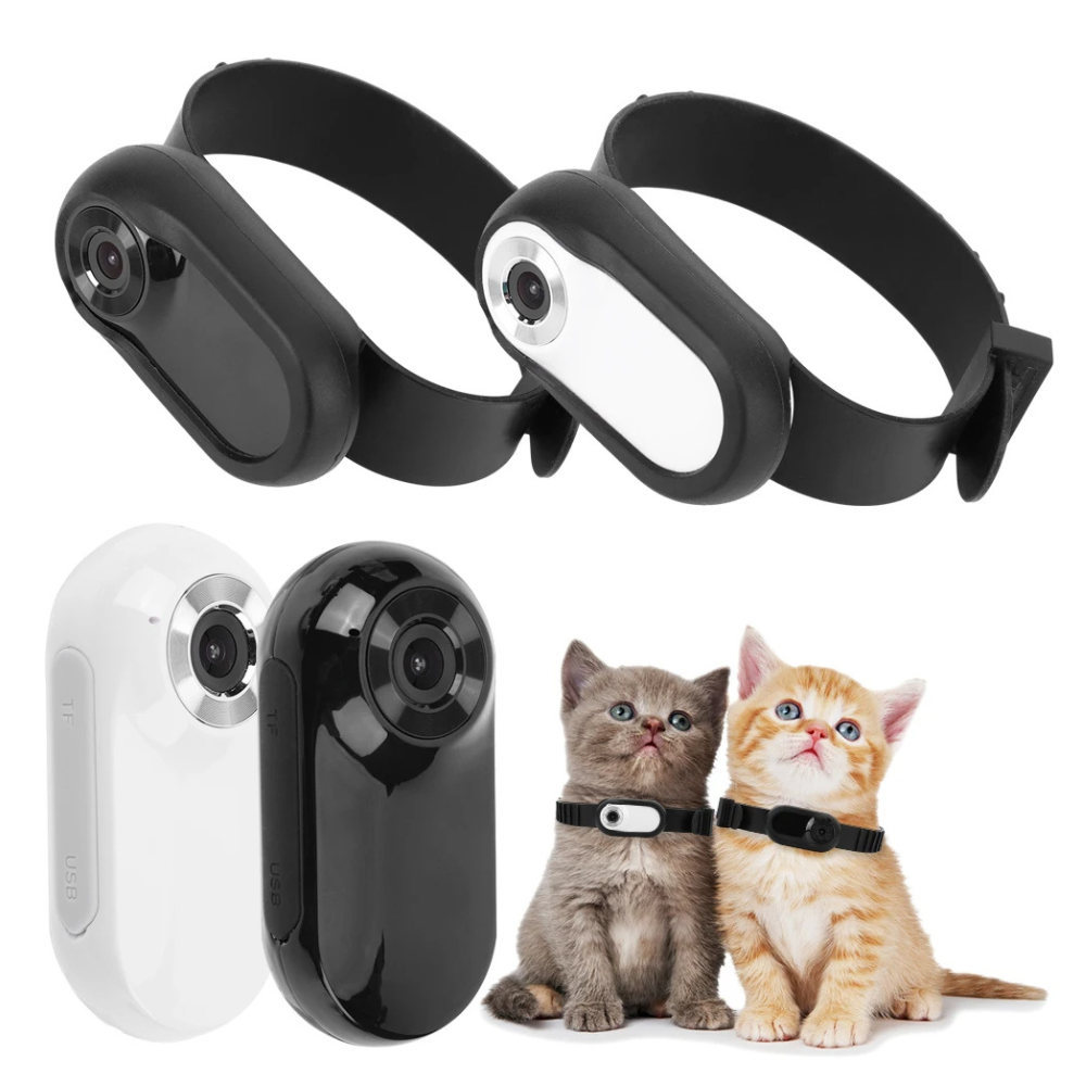 Collier avec caméra pour chats et chiens