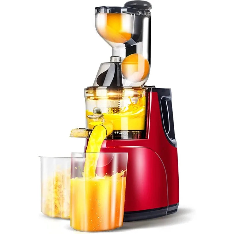 Machine à jus à mastication