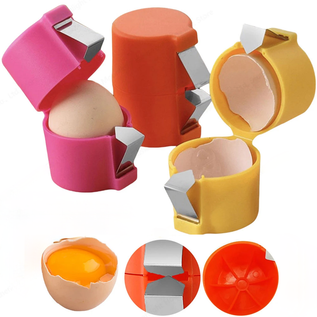 Ouvre-coquille d'œuf