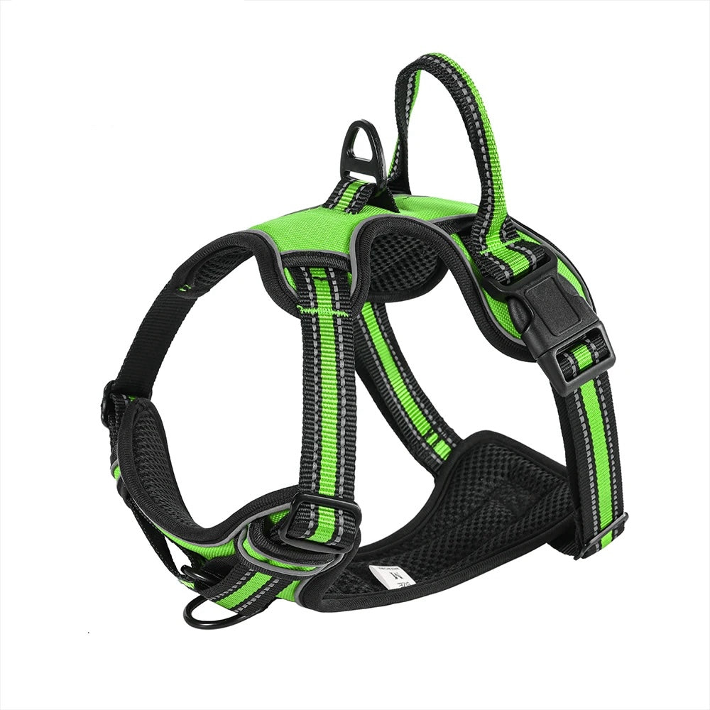 Harnais pour chien réglable en nylon.