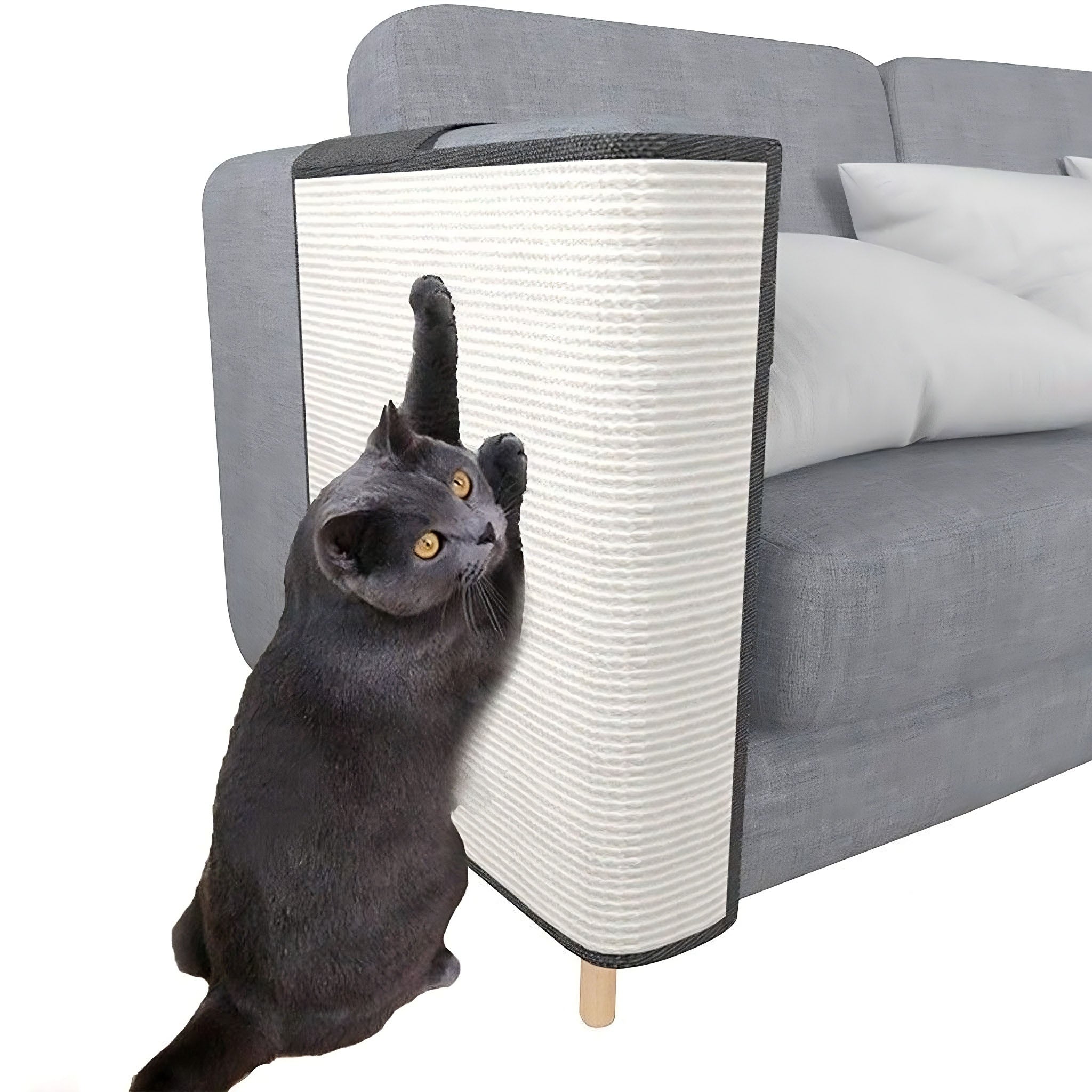 Protecteur de canapé anti-rayures pour chat