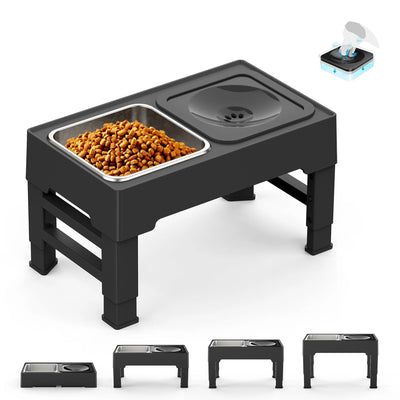 Gamelle surélevée pour chien sans dégâts