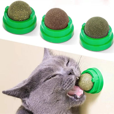 Boules d'herbe à chat