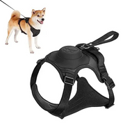 Kit harnais pour chien et laisse rétractable automatique