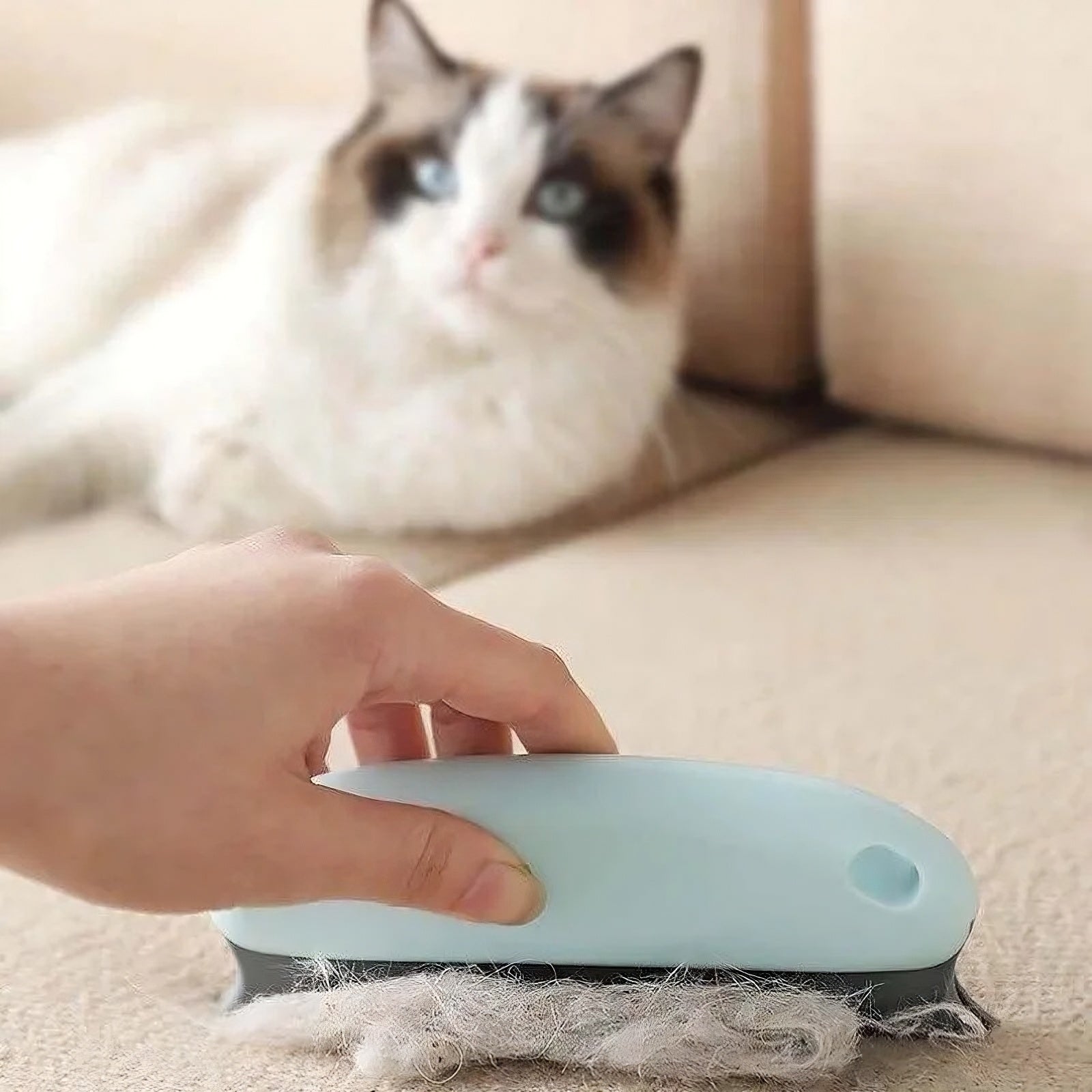 Épilateur efficace pour animaux de compagnie