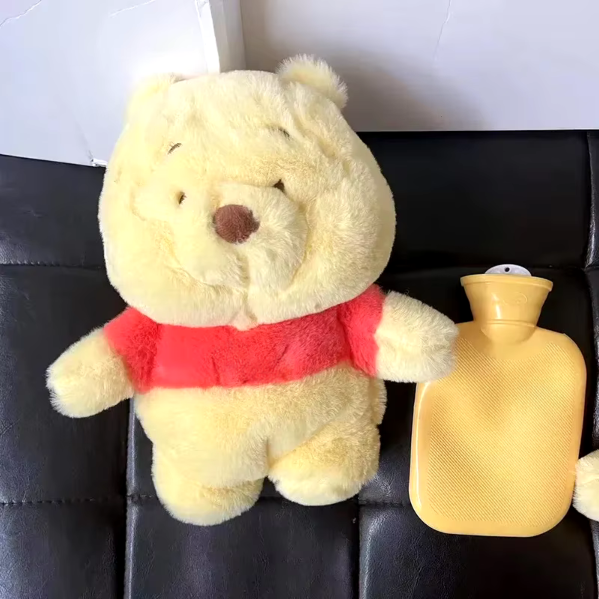 Ours en peluche avec bouillotte.