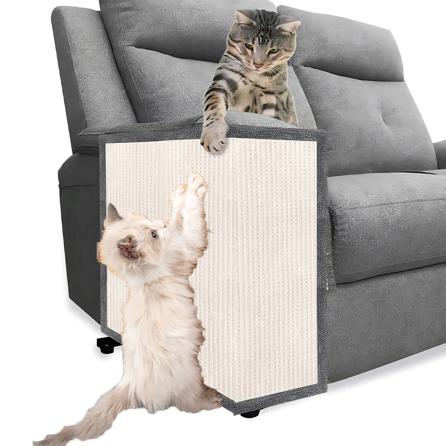 Protecteur de canapé anti-rayures pour chat