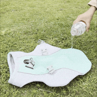 Gilet rafraîchissant d'été pour chien