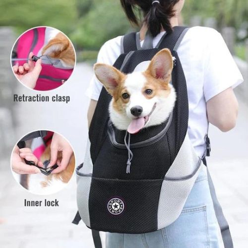 Sac à dos pour chien de compagnie