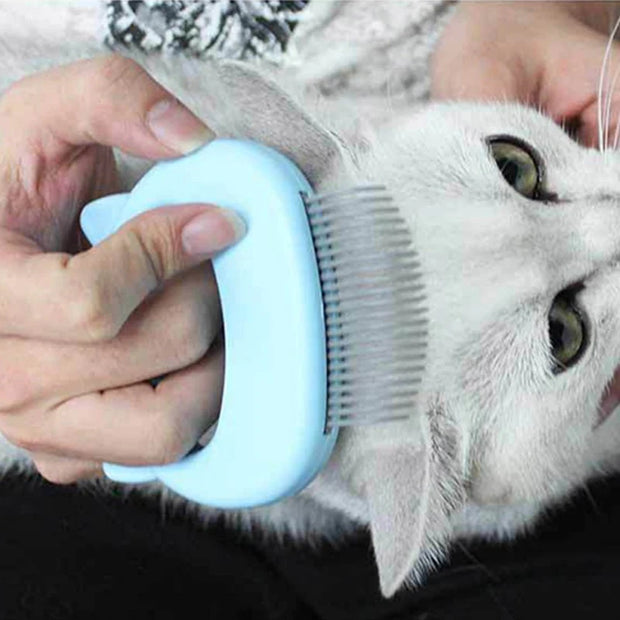 Peigne de toilettage et de massage pour chat