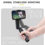 Stabilisateur de cardan portable Selfie Stick L09.