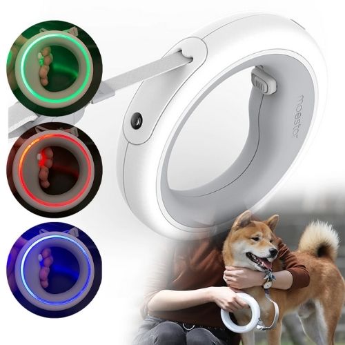 Anneau de laisse pour chien avec LED