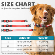 Collier LED pour chien avec support Air tag