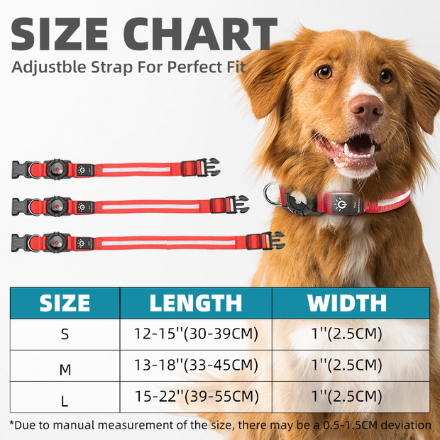 Collier LED pour chien avec support Air tag