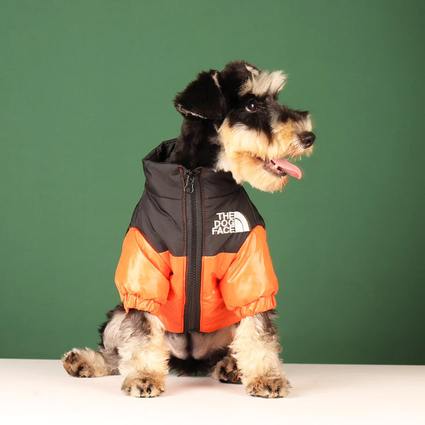 Veste coupe-vent pour chien The Dog Face.