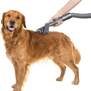 Accessoire d'aspirateur pour animaux de compagnie Dyson