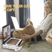 Griffoir pour chat pour ordinateur portable