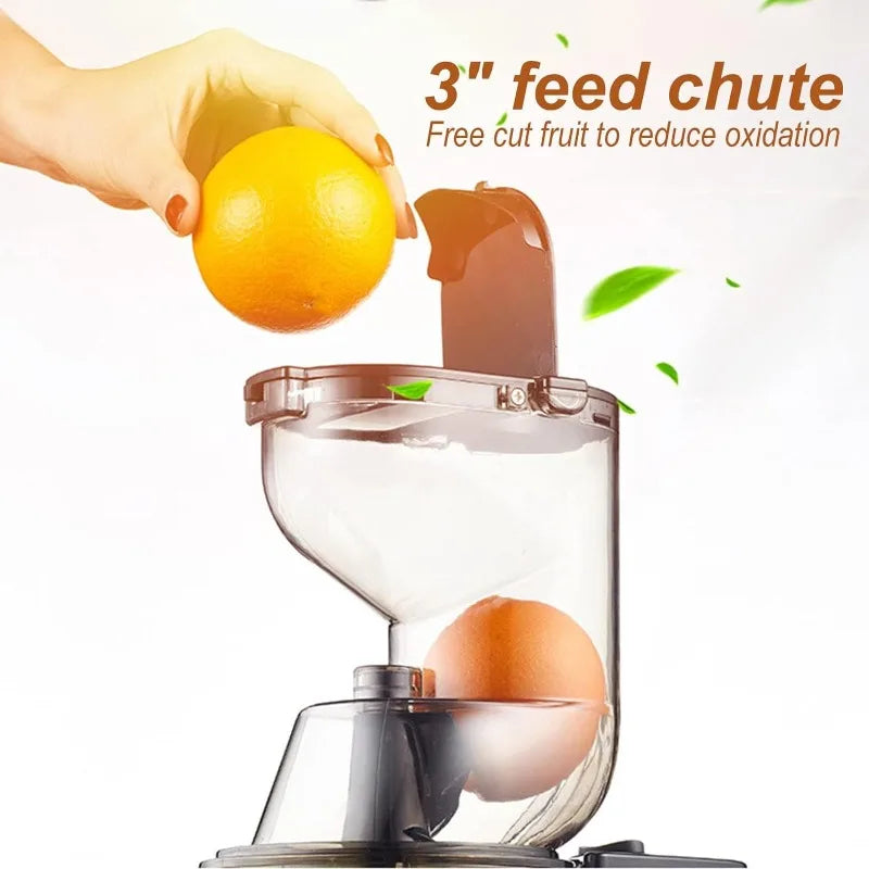 Machine à jus à mastication