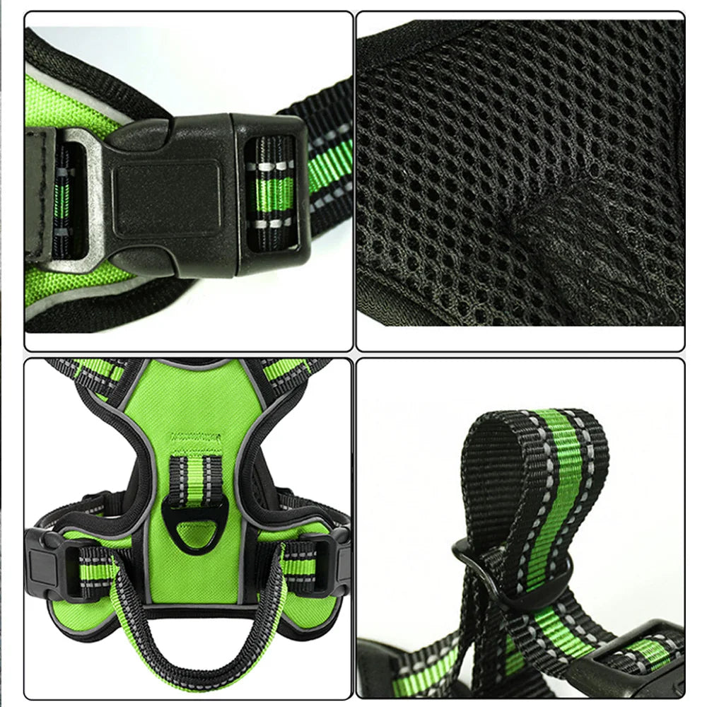 Harnais pour chien réglable en nylon.