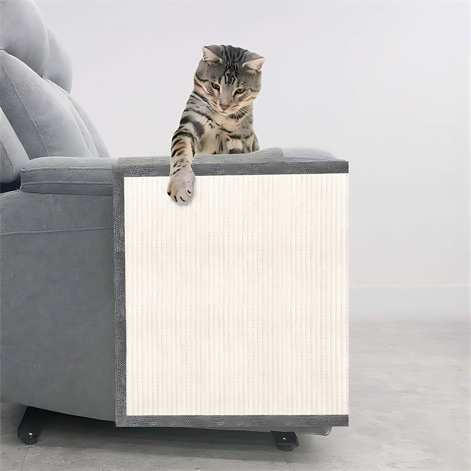 Protecteur de canapé anti-rayures pour chat