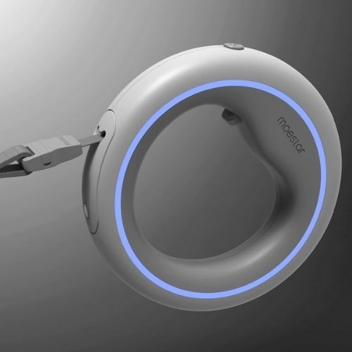 Anneau de laisse pour chien avec LED