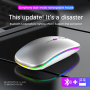 Souris sans fil 2,4 GHz rechargeable Bluetooth RVB.