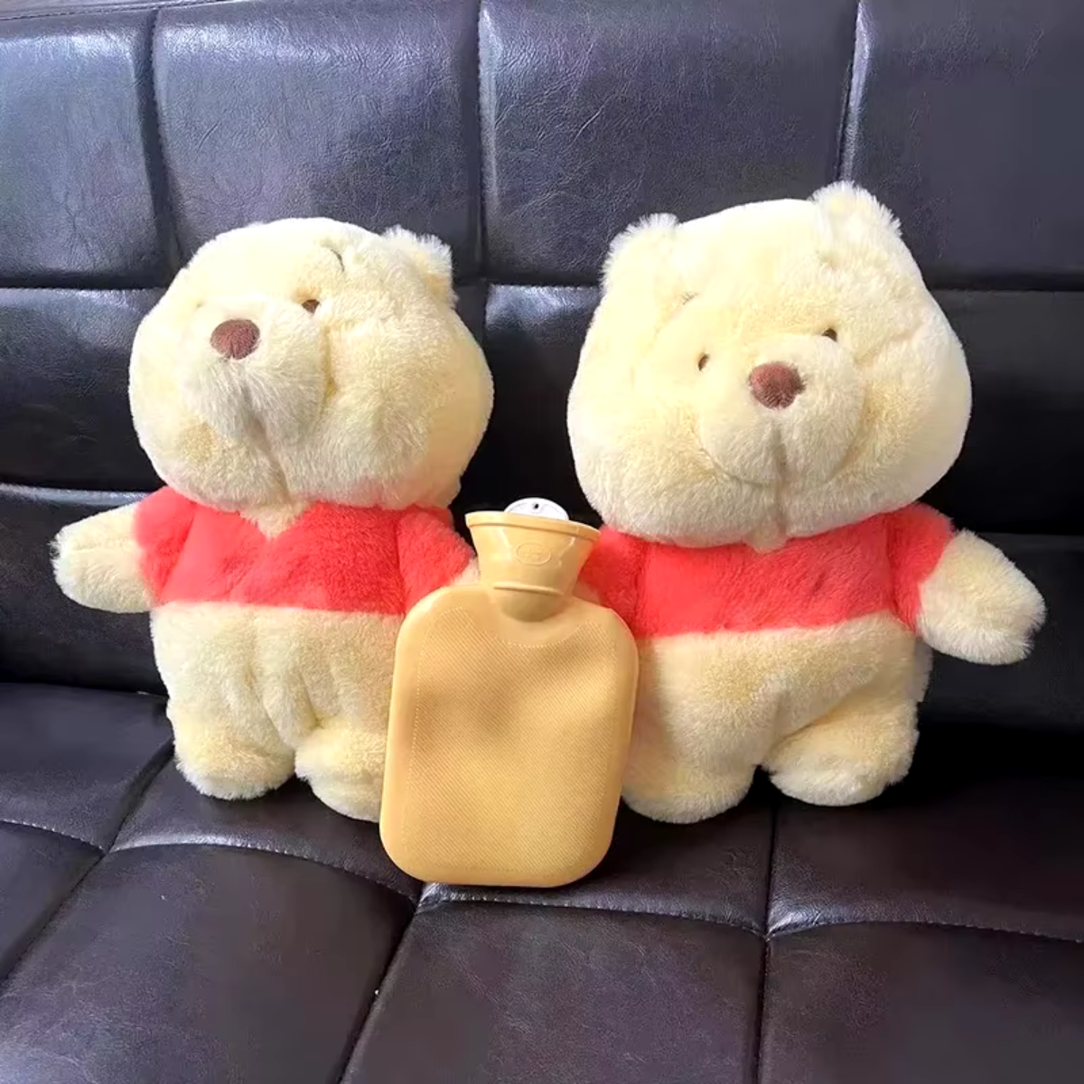 Ours en peluche avec bouillotte.