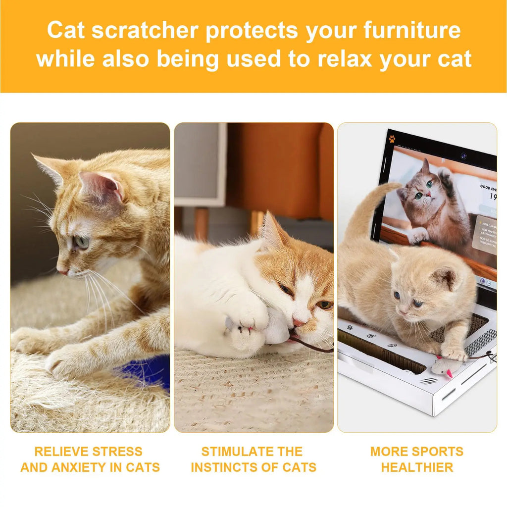 Griffoir pour chat pour ordinateur portable