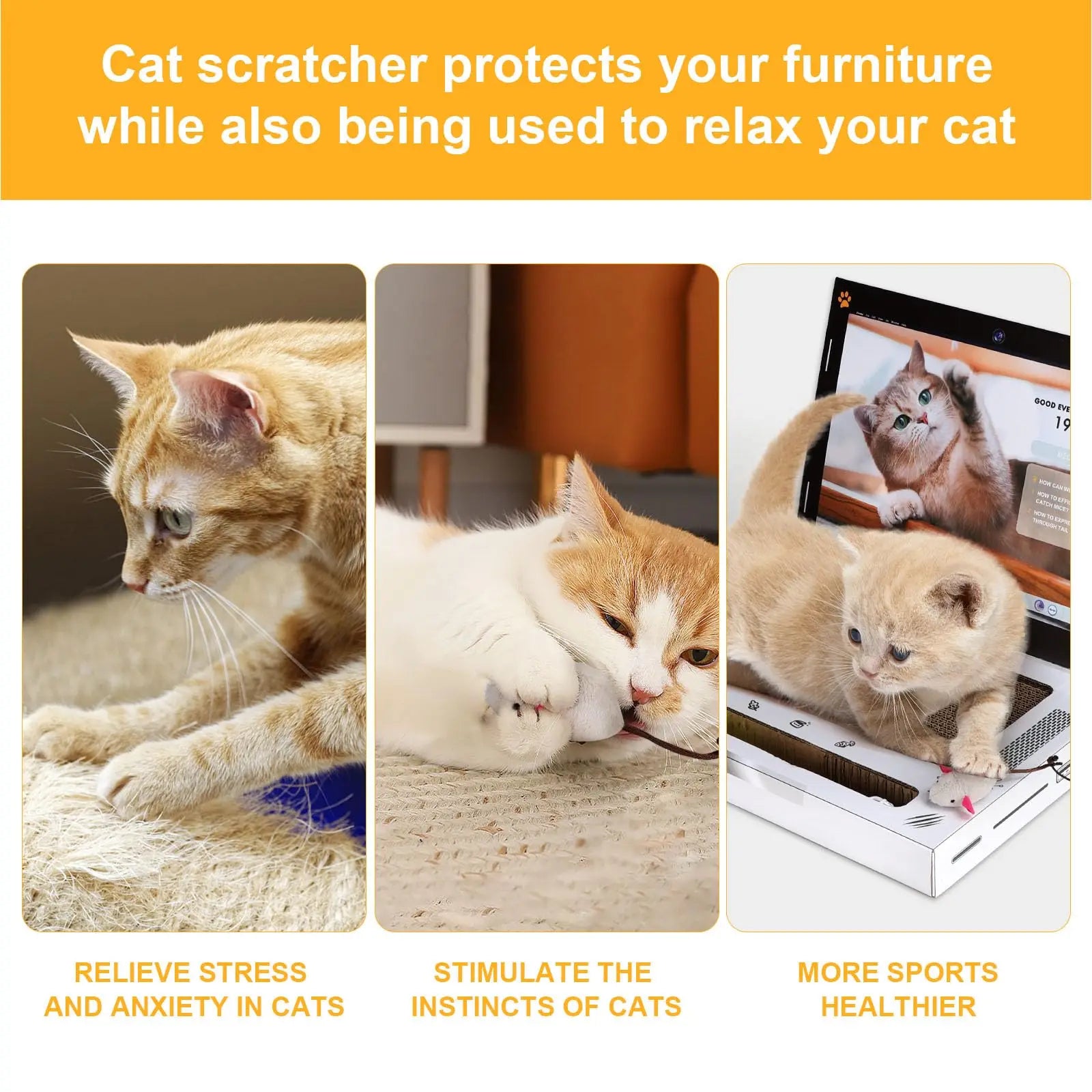 Griffoir pour chat pour ordinateur portable