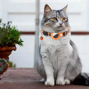 Collier réfléchissant pour chat avec support Apple AirTag
