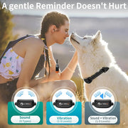 Collier d'entraînement pour chien