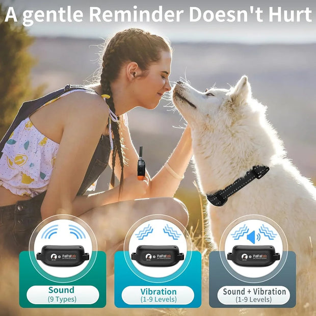 Collier d'entraînement pour chien