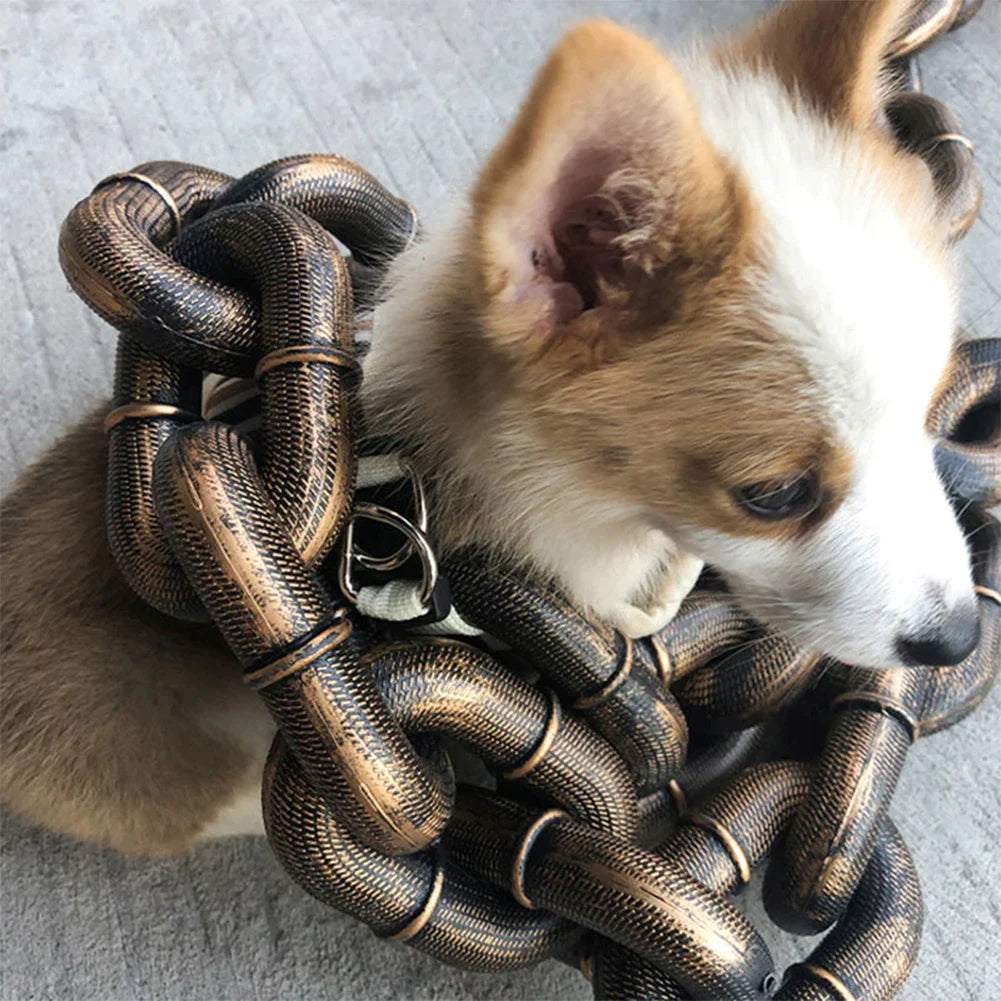 Laisse en chaîne amusante pour chien