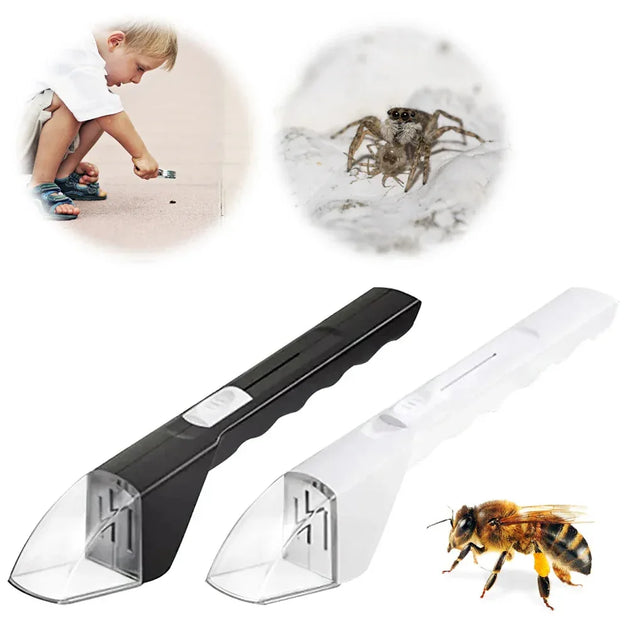 Portable Transparent Insect Catcher – Mine d'or