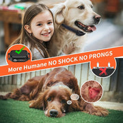 Collier d'entraînement pour chien