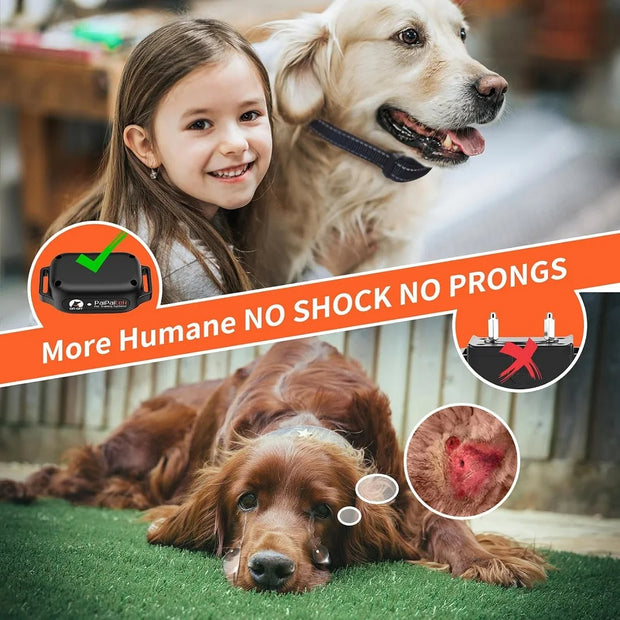 Collier d'entraînement pour chien