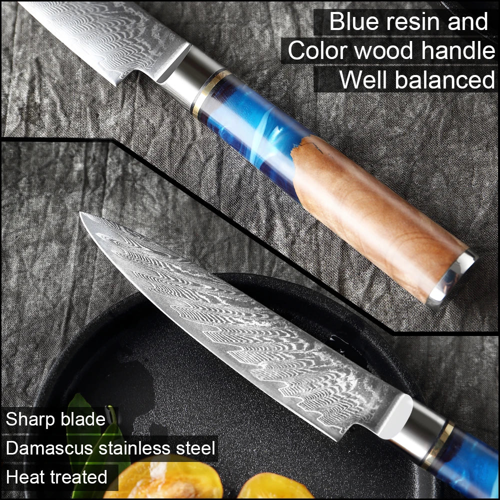Petit couteau de cuisine de 5 pouces en acier Damas VG10