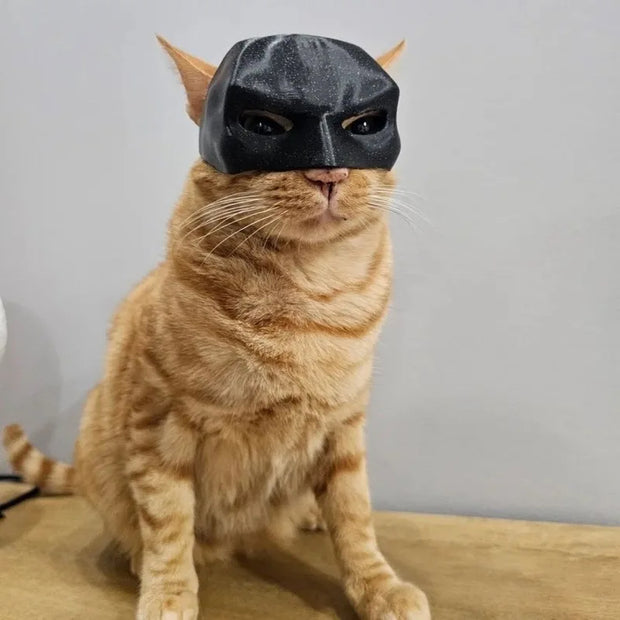 Masque de chauve-souris chat