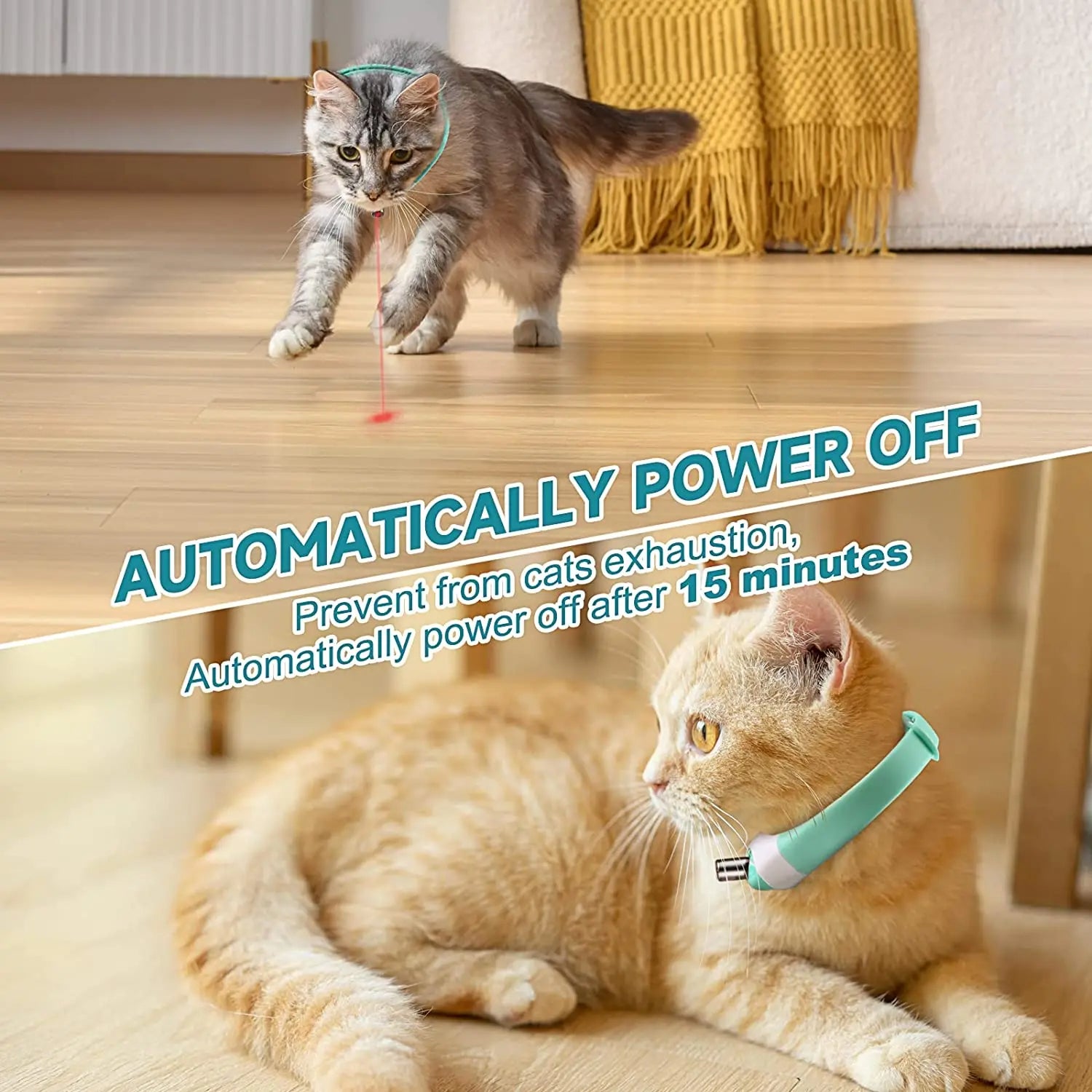 Collier laser pour chat