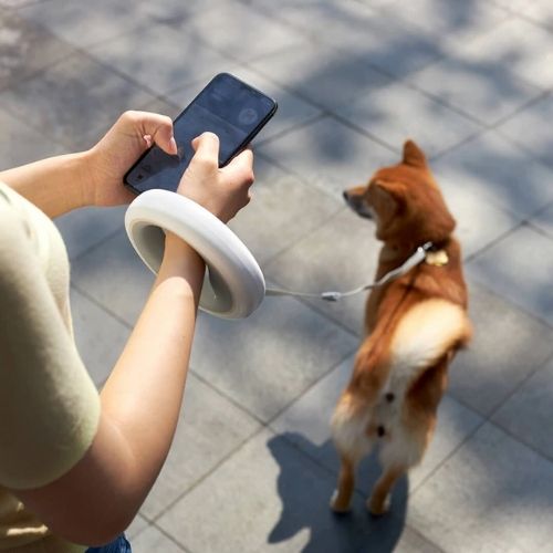 Anneau de laisse pour chien avec LED