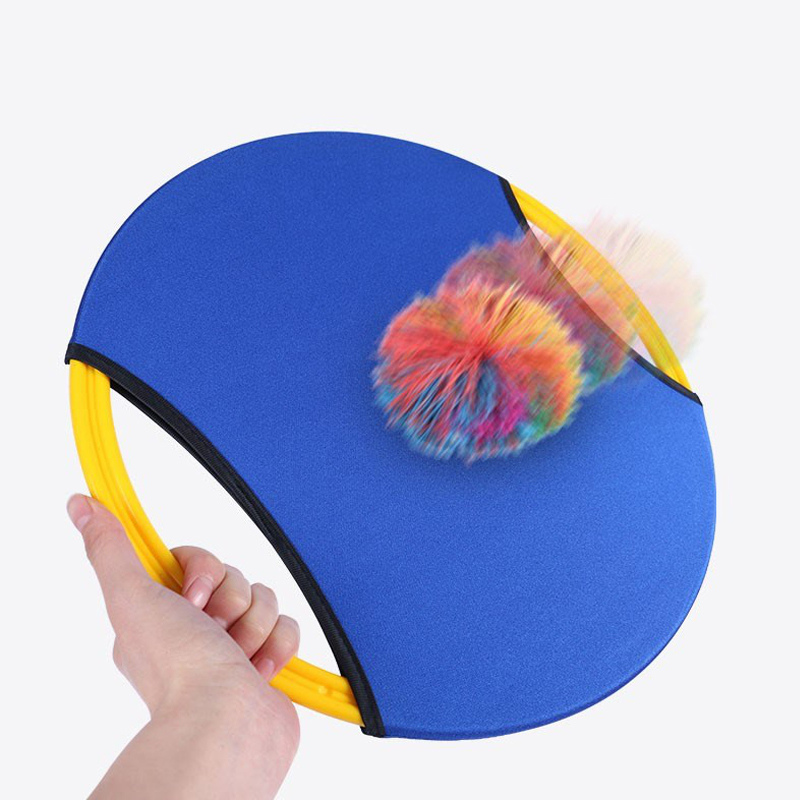 Jeu de paddle-ball avec 2 disques rebondissants
