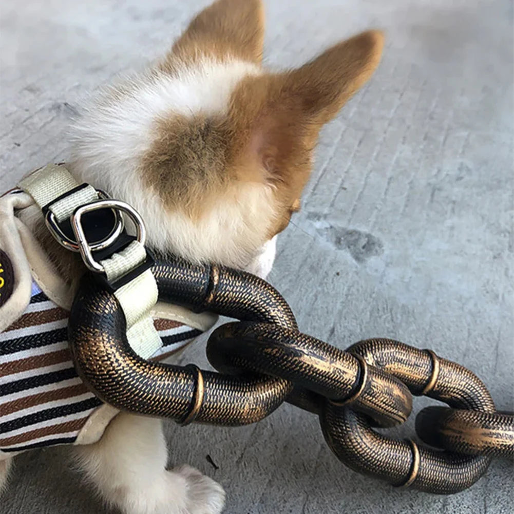 Laisse en chaîne amusante pour chien