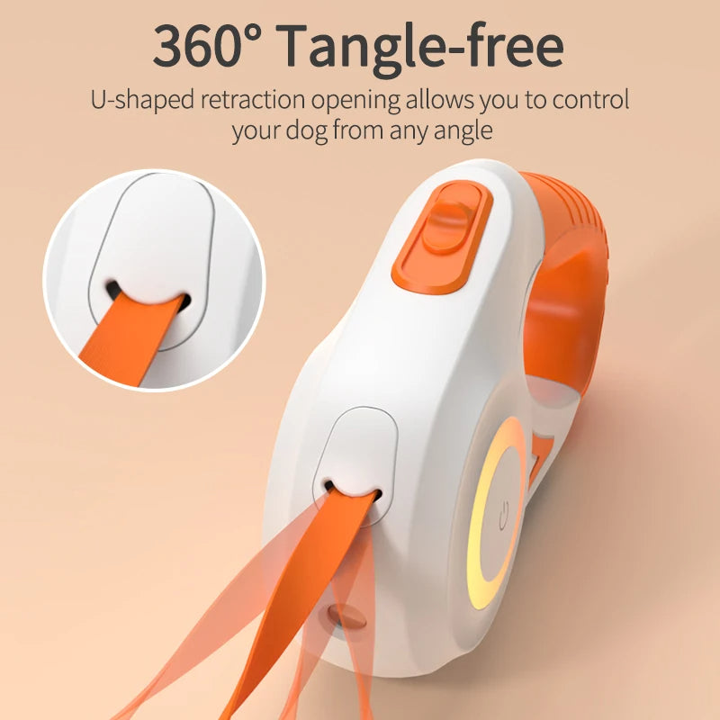 Corde de promenade lumineuse rétractable automatique pour chien