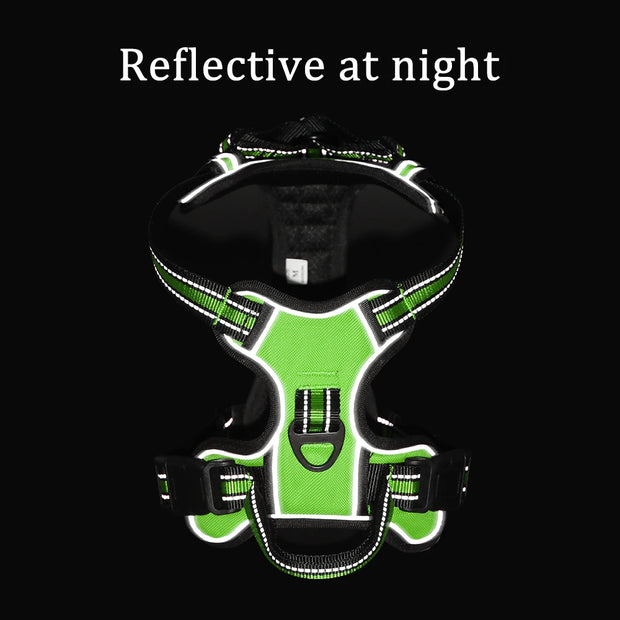 Harnais pour chien réglable en nylon.