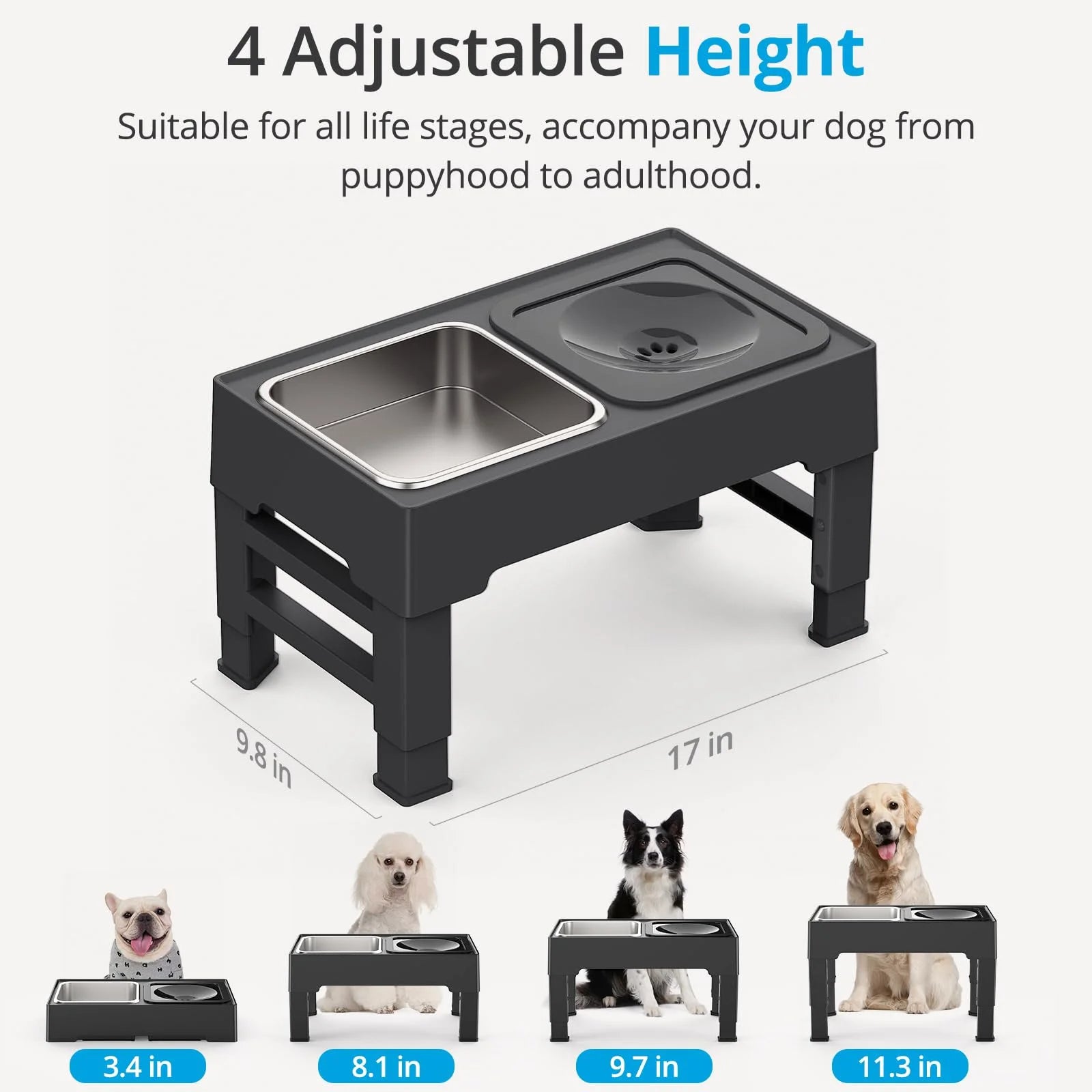 Gamelle surélevée pour chien sans dégâts